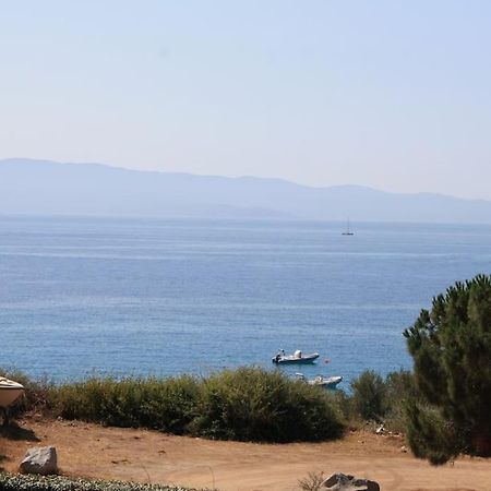 F2 Vue Mer Dans Residence Avec Piscine Ajaccio  Exteriör bild