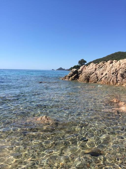 F2 Vue Mer Dans Residence Avec Piscine Ajaccio  Exteriör bild