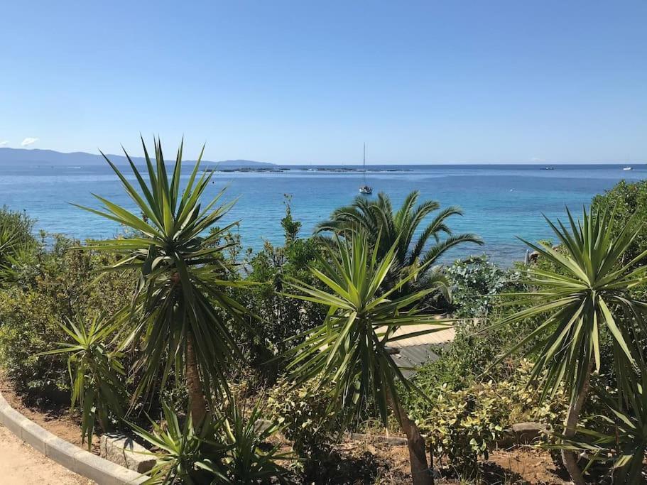 F2 Vue Mer Dans Residence Avec Piscine Ajaccio  Exteriör bild