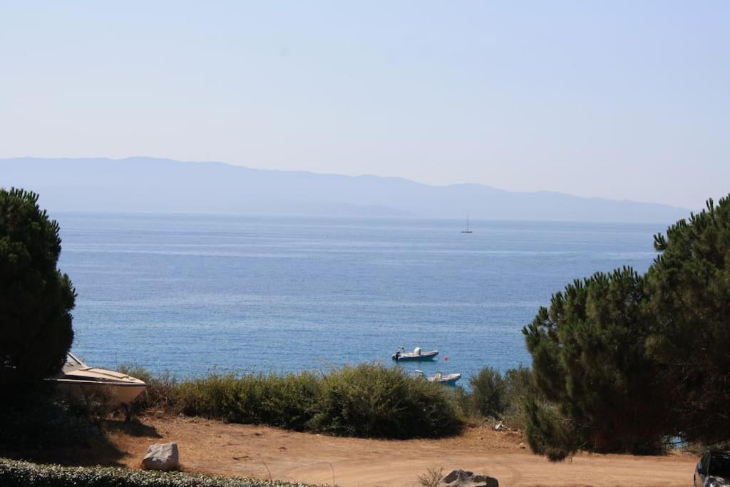 F2 Vue Mer Dans Residence Avec Piscine Ajaccio  Exteriör bild
