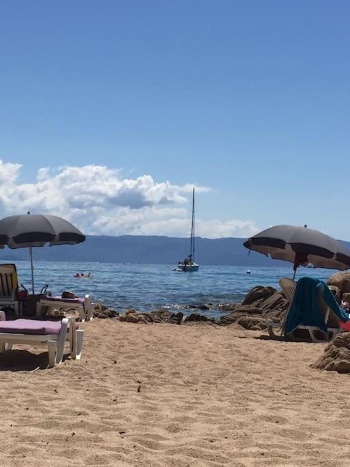 F2 Vue Mer Dans Residence Avec Piscine Ajaccio  Exteriör bild